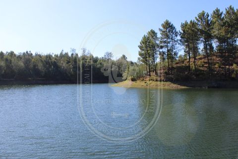Helårsgrund i Tomar, Santarem, Tomar - € 34.000 | Ref: TAM_264 - foto 27