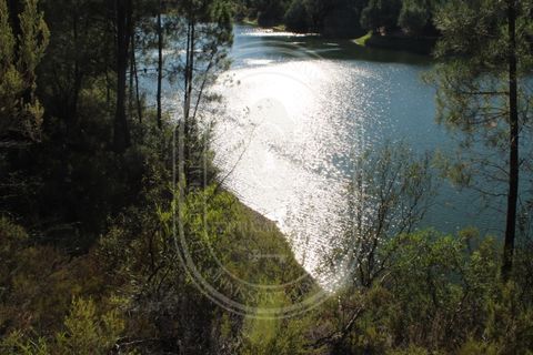 Helårsgrund i Tomar, Santarem, Tomar - € 34.000 | Ref: TAM_264 - foto 28