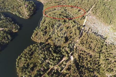Helårsgrund i Tomar, Santarem, Tomar - € 34.000 | Ref: TAM_264 - foto 30