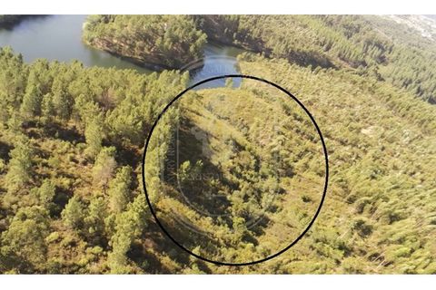Helårsgrund i Tomar, Santarem, Tomar - € 34.000 | Ref: TAM_264 - foto 31