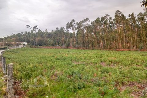 Helårsgrund i Barcelos, Braga, Barcelos - € 135.000 | Ref: 184/24 - foto 2