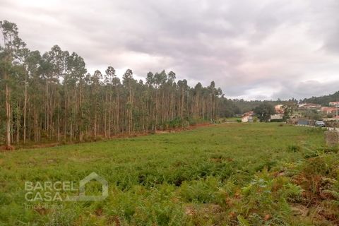 Helårsgrund i Barcelos, Braga, Barcelos - € 135.000 | Ref: 184/24 - foto 3