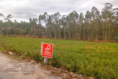 Helårsgrund i Barcelos, Braga, Barcelos - € 135.000 | Ref: 184/24 - foto 4