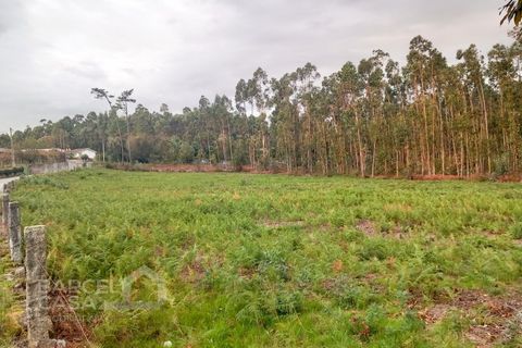 Helårsgrund i Barcelos, Braga, Barcelos - € 135.000 | Ref: 184/24 - foto 5