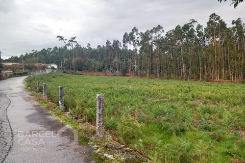 Helårsgrund i Barcelos, Braga, Barcelos - € 135.000 | Ref: 184/24 - foto 6