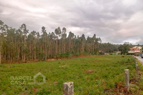Helårsgrund i Barcelos, Braga, Barcelos - € 135.000 | Ref: 184/24 - foto 8