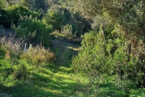 Ruinere i Silves, Faro, Silves - € 250.000 | Ref: 301 - foto 3