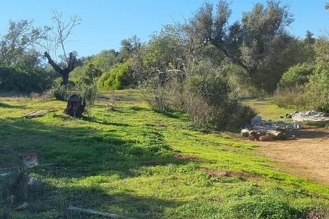 Ruinere i Silves, Faro, Silves - € 250.000 | Ref: 301 - foto 6