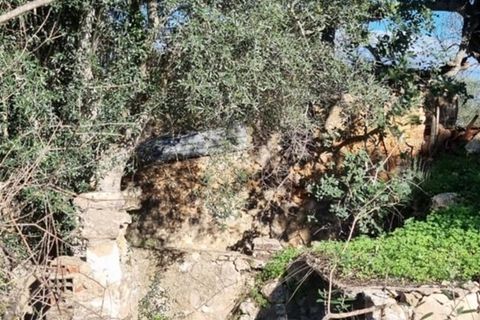 Ruinere i Silves, Faro, Silves - € 250.000 | Ref: 301 - foto 7