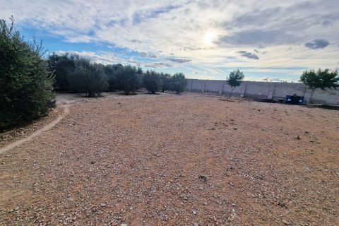 Masia a Elche, Alicante, Elche - € 295.000 | Ref: SP4160 - foto 18