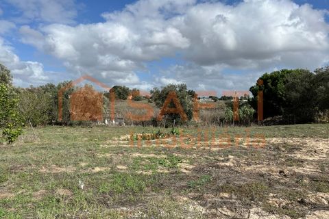 Helårsgrund i Montijo, Setubal, Montijo - € 550.000 | Ref: SAFTI:005390 - foto 6