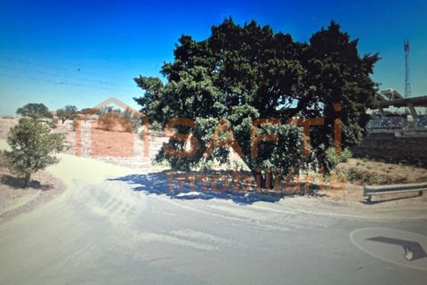 Helårsgrund i Montijo, Setubal, Montijo - € 550.000 | Ref: SAFTI:005390 - foto 12