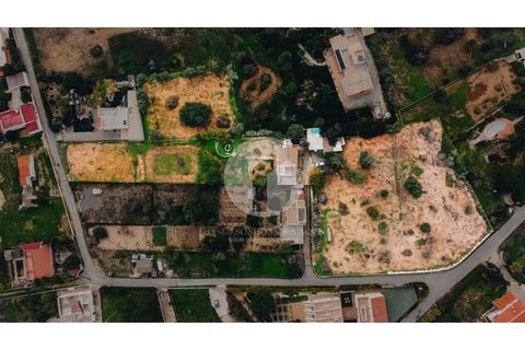 Villa i Moncarapacho, Faro, Moncarapacho - € 600.000 | Ref: 360P-1405 - foto 3