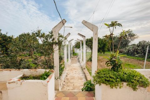 Villa i Moncarapacho, Faro, Moncarapacho - € 600.000 | Ref: 360P-1405 - foto 7