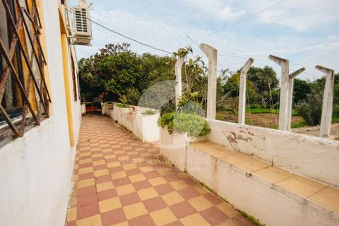 Villa i Moncarapacho, Faro, Moncarapacho - € 600.000 | Ref: 360P-1405 - foto 9