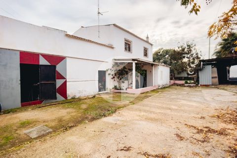 Villa i Moncarapacho, Faro, Moncarapacho - € 600.000 | Ref: 360P-1405 - foto 10