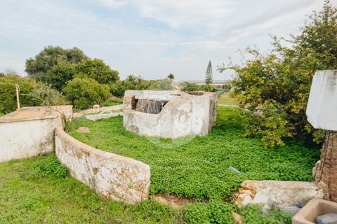 Villa i Moncarapacho, Faro, Moncarapacho - € 600.000 | Ref: 360P-1405 - foto 12