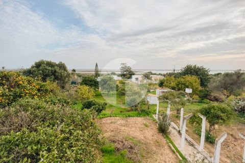 Villa i Moncarapacho, Faro, Moncarapacho - € 600.000 | Ref: 360P-1405 - foto 25