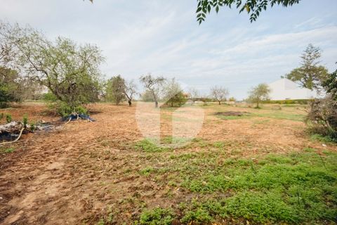Villa i Moncarapacho, Faro, Moncarapacho - € 600.000 | Ref: 360P-1405 - foto 26