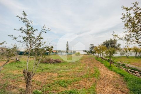 Villa i Moncarapacho, Faro, Moncarapacho - € 600.000 | Ref: 360P-1405 - foto 27