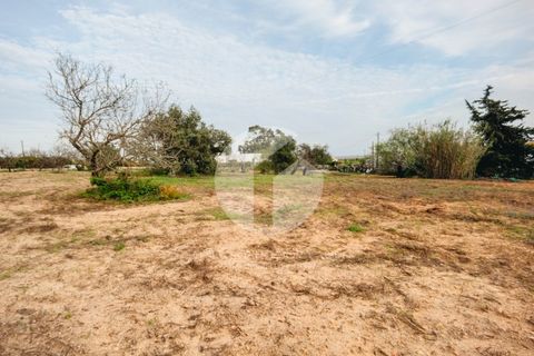 Villa i Moncarapacho, Faro, Moncarapacho - € 600.000 | Ref: 360P-1405 - foto 28