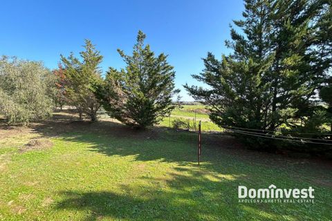 Villa i Capalbio, Grosseto, Capalbio - € 1.250.000 | Ref: V-133 - foto 14