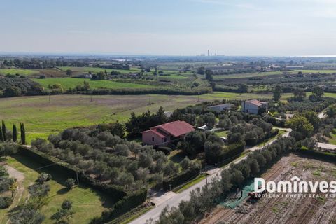 Villa i Capalbio, Grosseto, Capalbio - € 1.250.000 | Ref: V-133 - foto 7
