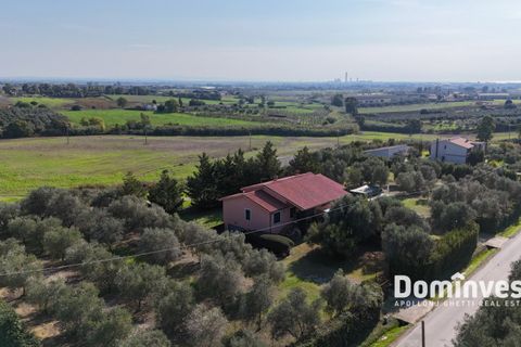 Villa i Capalbio, Grosseto, Capalbio - € 1.250.000 | Ref: V-133 - foto 8