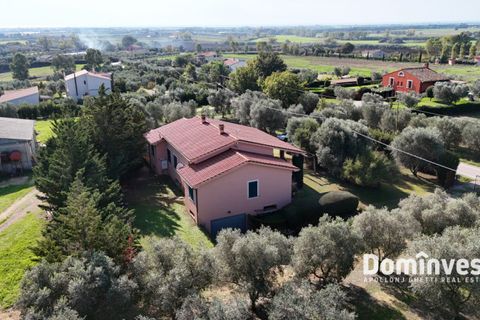 Villa i Capalbio, Grosseto, Capalbio - € 1.250.000 | Ref: V-133 - foto 13