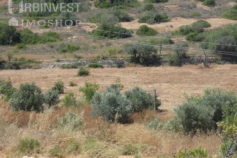 Helårsgrund i Ferragudo, Faro, Ferragudo - € 3.090.000 | Ref: AR00446 - PT - foto 3