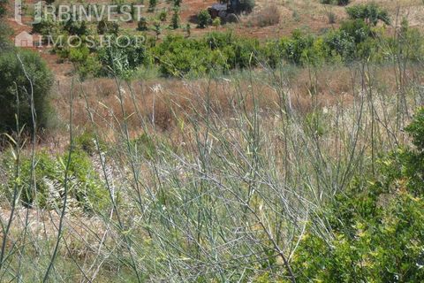 Helårsgrund i Ferragudo, Faro, Ferragudo - € 3.090.000 | Ref: AR00445 - PT - foto 2