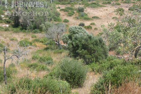 Helårsgrund i Ferragudo, Faro, Ferragudo - € 4.200.000 | Ref: AR00444 - PT - foto 3