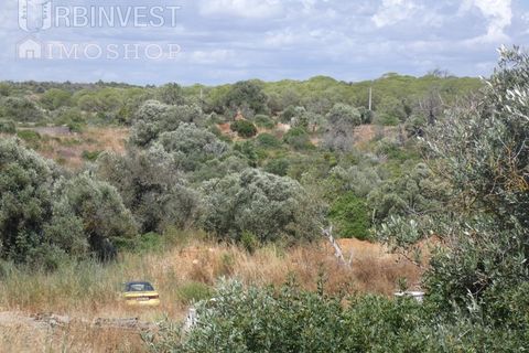 Helårsgrund i Ferragudo, Faro, Ferragudo - € 4.200.000 | Ref: AR00444 - PT - foto 4