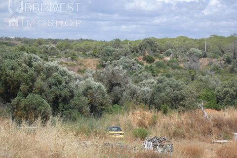 Helårsgrund i Ferragudo, Faro, Ferragudo - € 4.200.000 | Ref: AR00444 - PT - foto 5