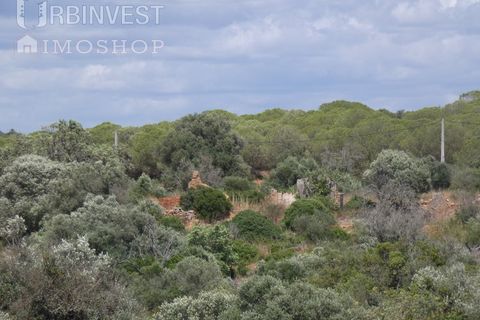Helårsgrund i Ferragudo, Faro, Ferragudo - € 4.200.000 | Ref: AR00444 - PT - foto 8
