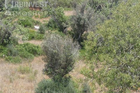 Helårsgrund i Ferragudo, Faro, Ferragudo - € 4.200.000 | Ref: AR00444 - PT - foto 9