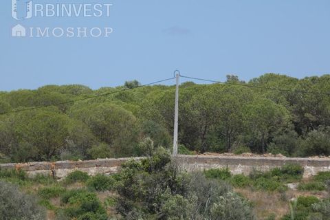 Helårsgrund i Ferragudo, Faro, Ferragudo - € 4.200.000 | Ref: AR00444 - PT - foto 12