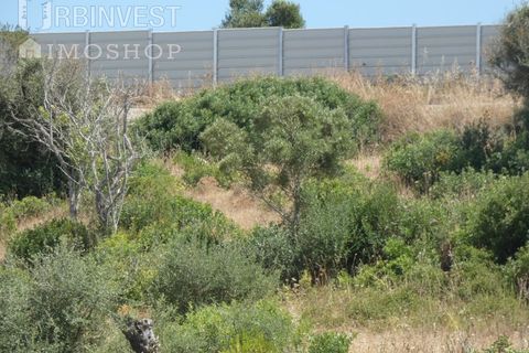Helårsgrund i Ferragudo, Faro, Ferragudo - € 4.200.000 | Ref: AR00444 - PT - foto 14