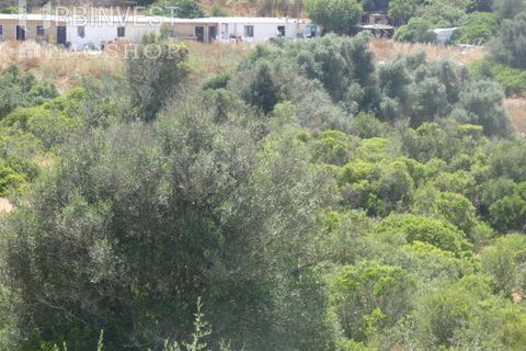Helårsgrund i Ferragudo, Faro, Ferragudo - € 4.200.000 | Ref: AR00444 - PT - foto 17