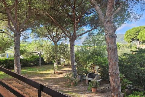 Villa a Capoliveri, Livorno, Capoliveri - € 900.000 | Ref: 5065 - foto 10