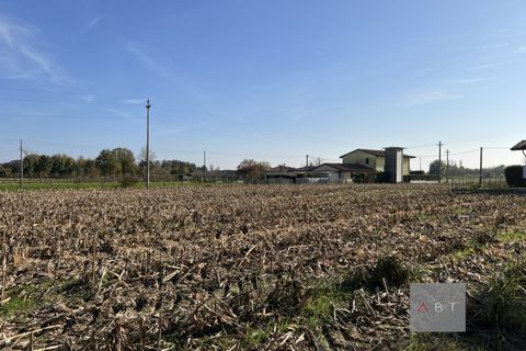 Terra a Camposampiero, Padua, Camposampiero - € 57.000 | Ref: 003 - foto 2