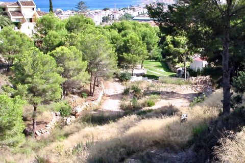 Terra a Javea, Alicante, Javea - € 435.000 | Ref: HO233198 - foto 3