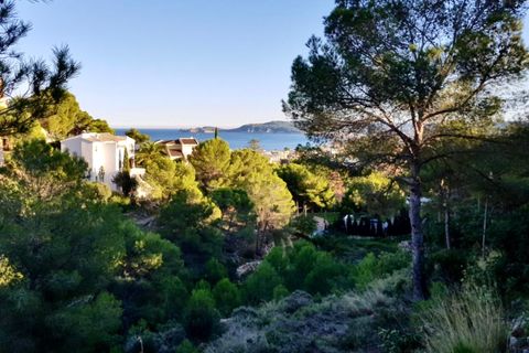 Terra a Javea, Alicante, Javea - € 435.000 | Ref: HO233198 - foto 5