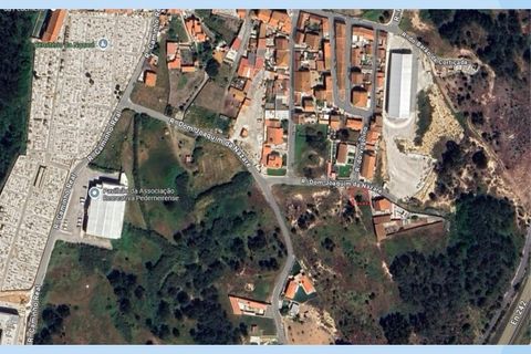 Helårsgrund i Nazare, Leiria, Nazare - € 53.000 | Ref: IMO-781 - foto 3