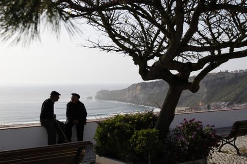 Helårsgrund i Nazare, Leiria, Nazare - € 53.000 | Ref: IMO-781 - foto 5