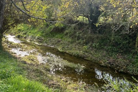 Helårsgrund i Bugarach, Aude, Bugarach - € 45.000 | Ref: 85424943 - foto 5