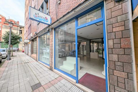 Commercieel vastgoed in Artosa (Langreo), Asturias - foto 4