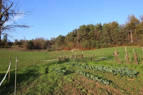 Villa a Dego, Savona, Dego - € 180.000 | Ref: DEG001 - foto 23