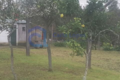 Villa a Arrifana, Aveiro, Arrifana - € 560.000 | Ref: HAB_18 - foto 4