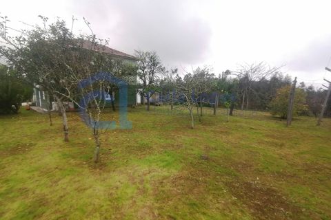 Villa a Arrifana, Aveiro, Arrifana - € 560.000 | Ref: HAB_18 - foto 32